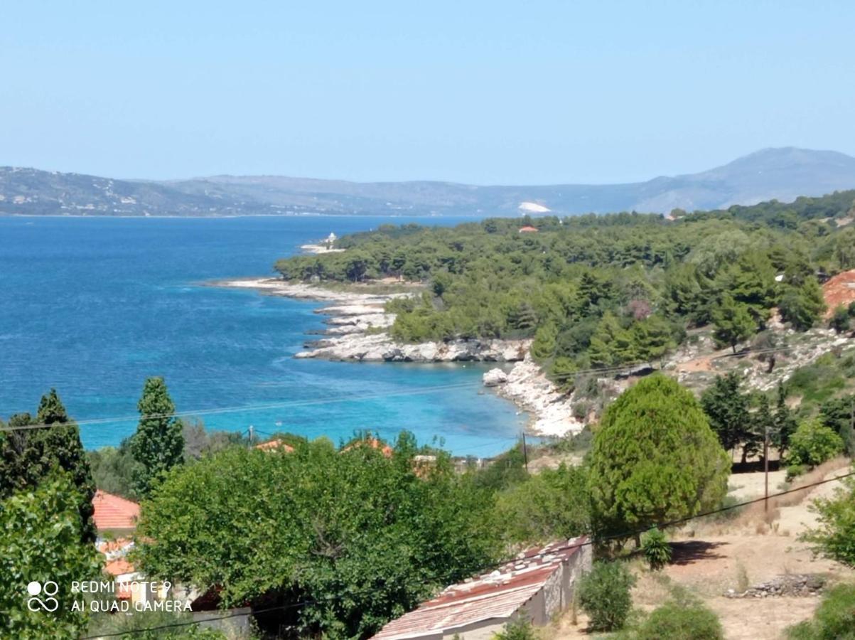 Summer Garden Αpartments & Studios Argostoli  Exteriör bild